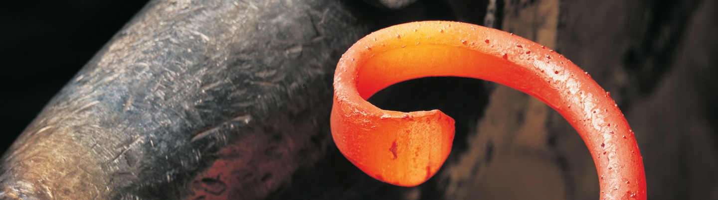 Custom Shop